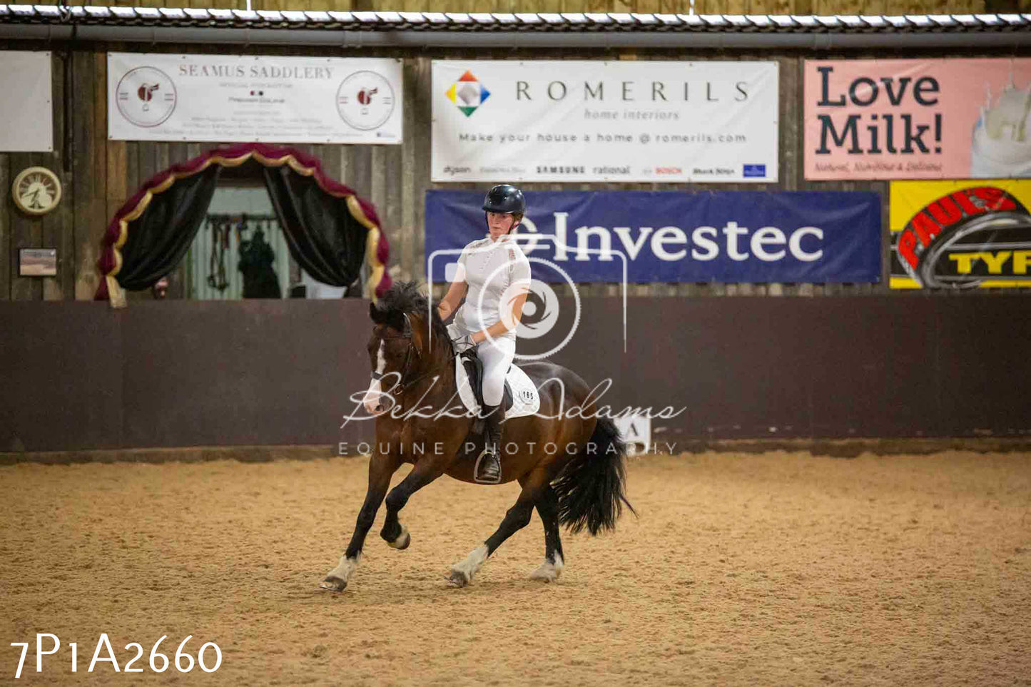 JHOYS 2023 - 6th September - Dressage