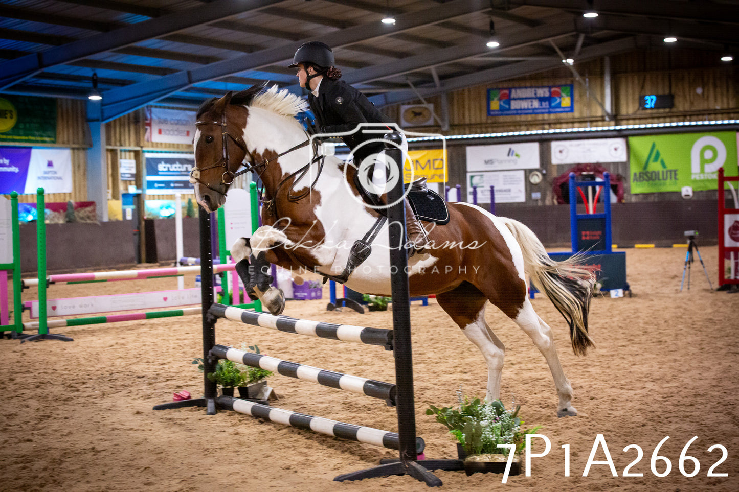 JHOYS 2025 - Show Jumping - 20th September pt2