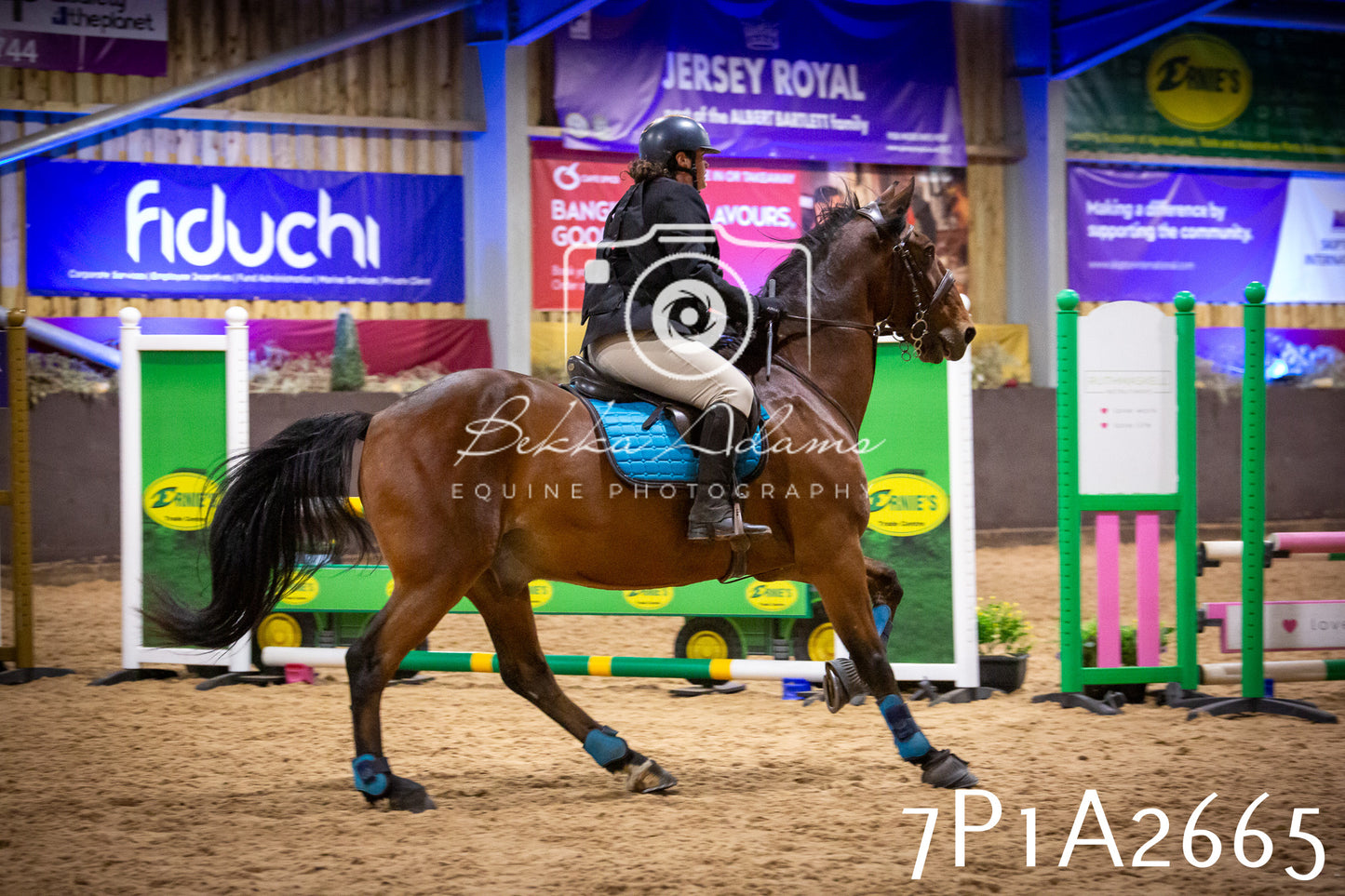 JHOYS 2025 - Show Jumping - 20th September pt2