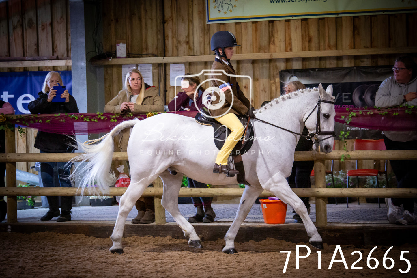 JHOYS 2025 - Ridden Showing - 28th September - pt2