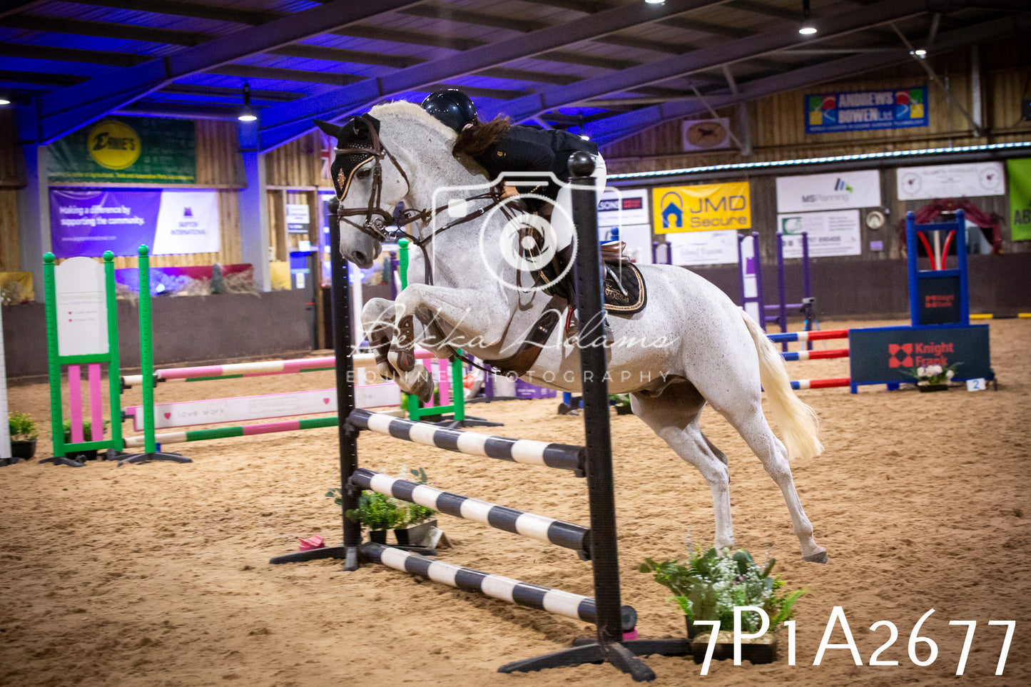 JHOYS 2025 - Show Jumping - 20th September pt2