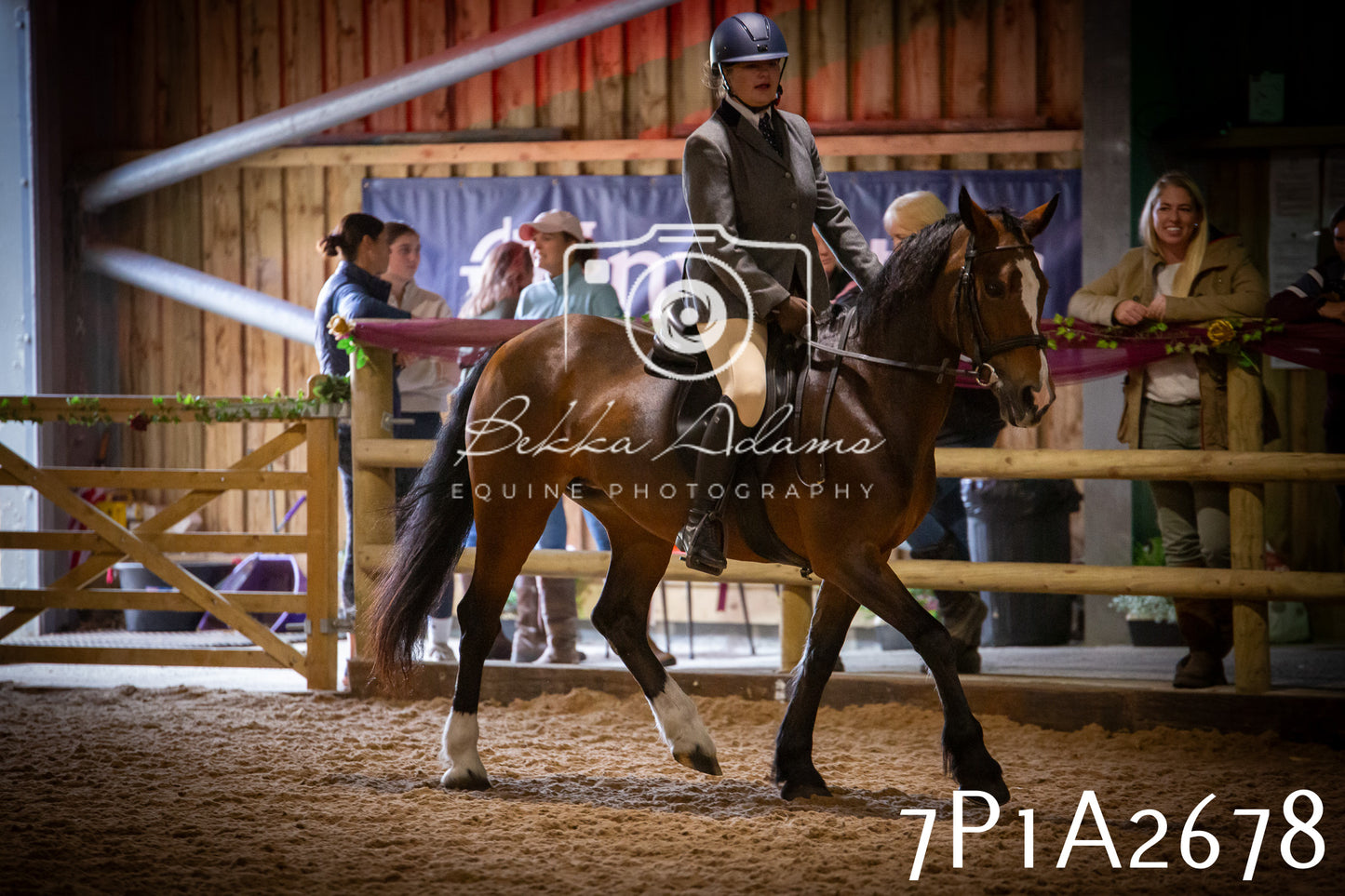 JHOYS 2025 - Ridden Showing - 28th September - pt3