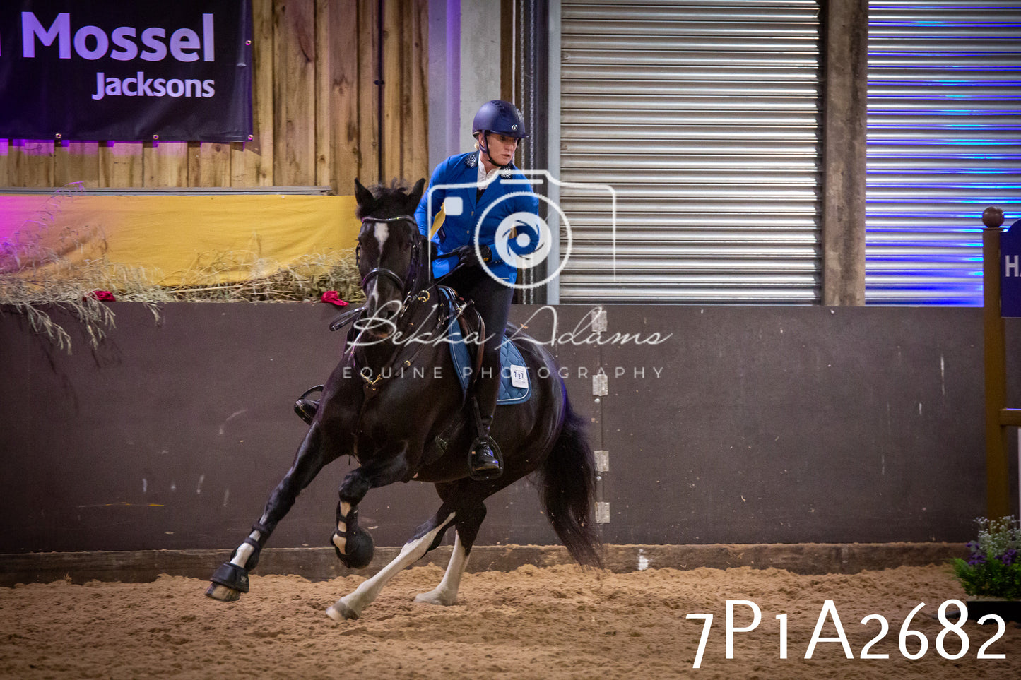 JHOYS 2025 - Show Jumping - 20th September pt2