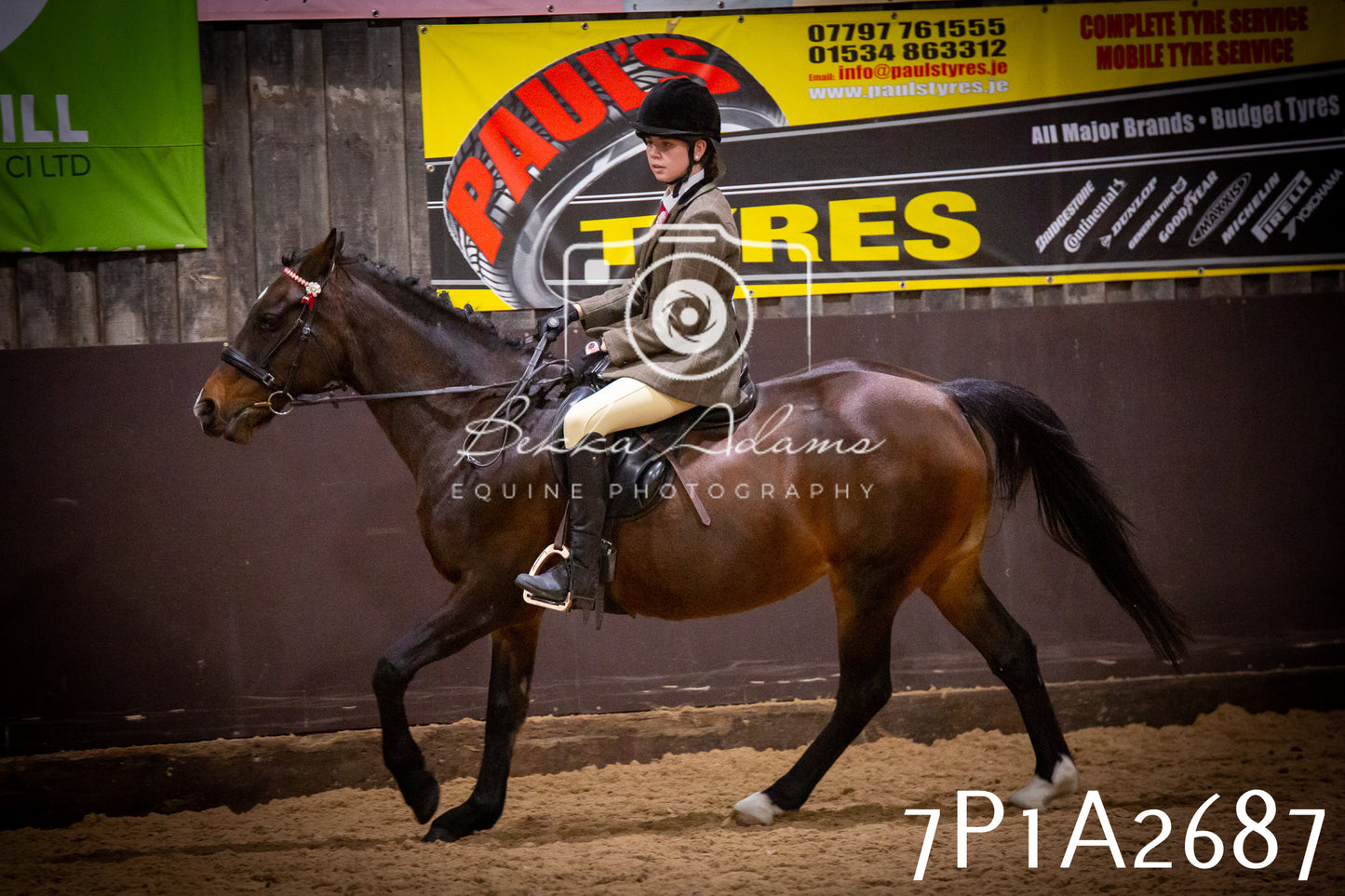 JHOYS 2025 - Ridden Showing - 28th September - pt3