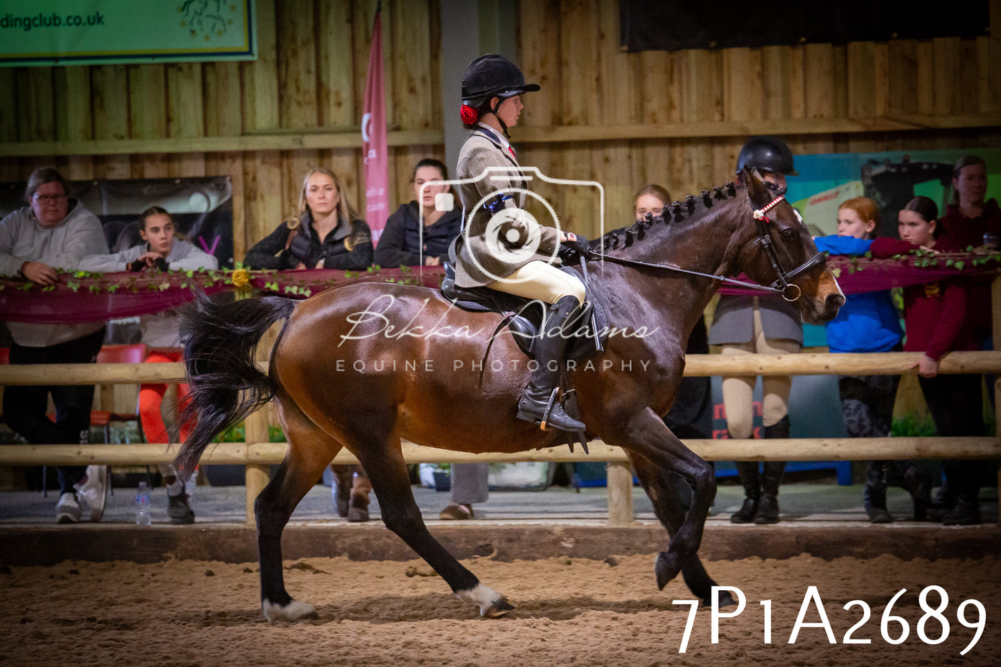 JHOYS 2025 - Ridden Showing - 28th September - pt3