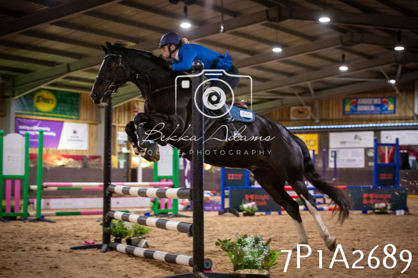 JHOYS 2025 - Show Jumping - 20th September pt2