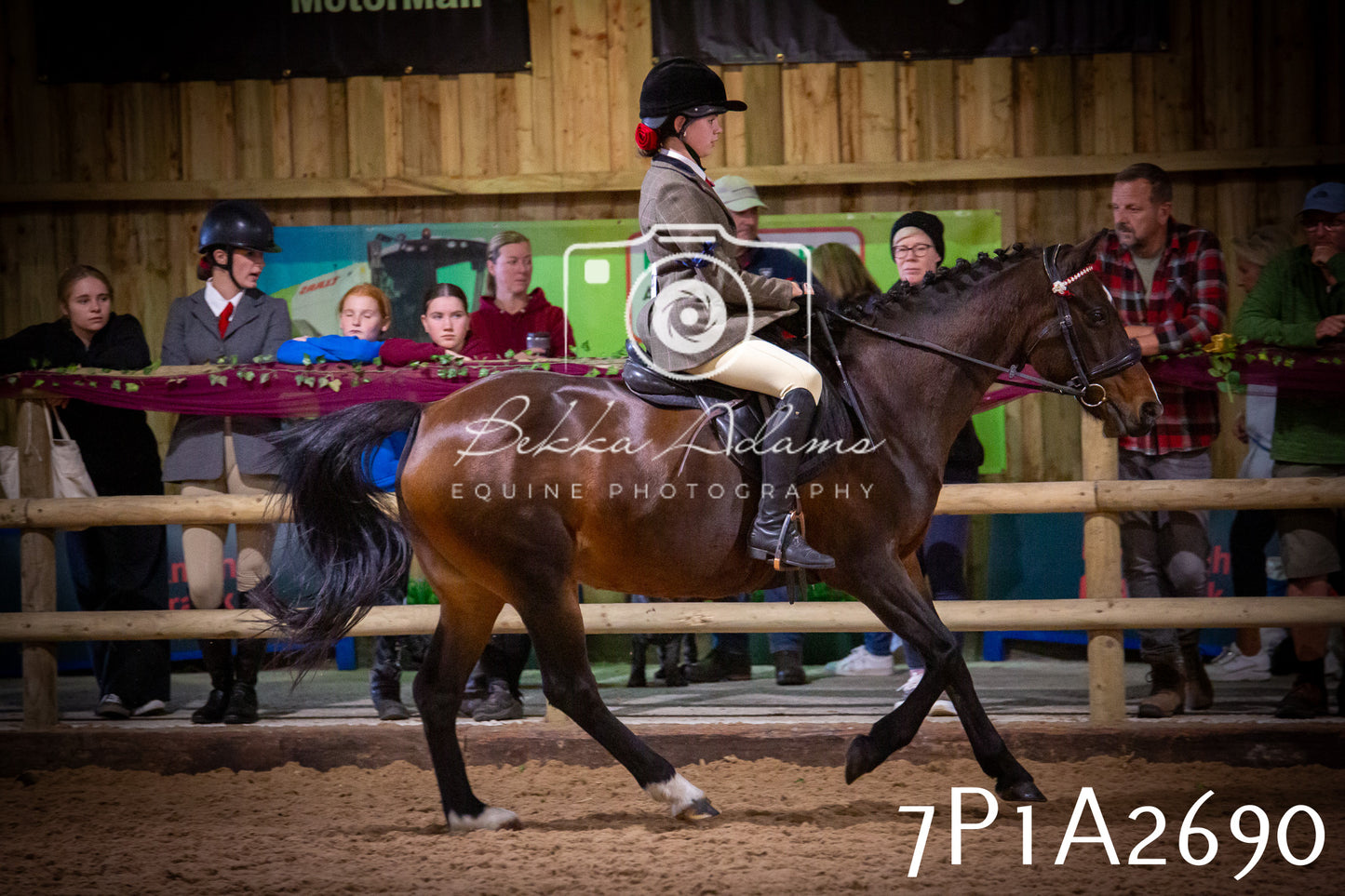 JHOYS 2025 - Ridden Showing - 28th September - pt3