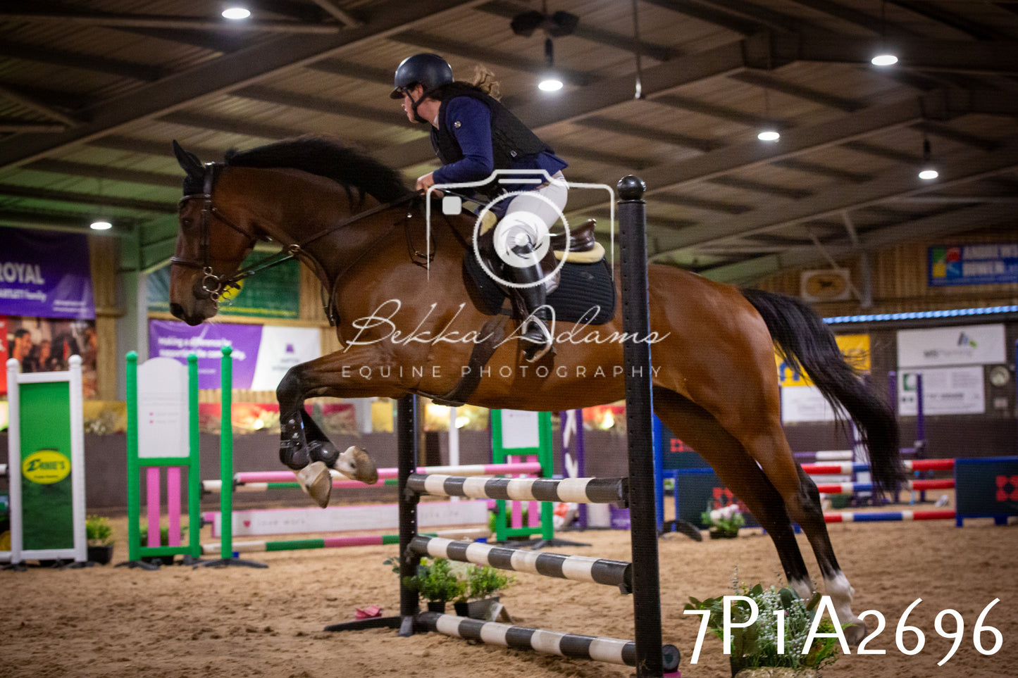 JHOYS 2025 - Show Jumping - 20th September pt2