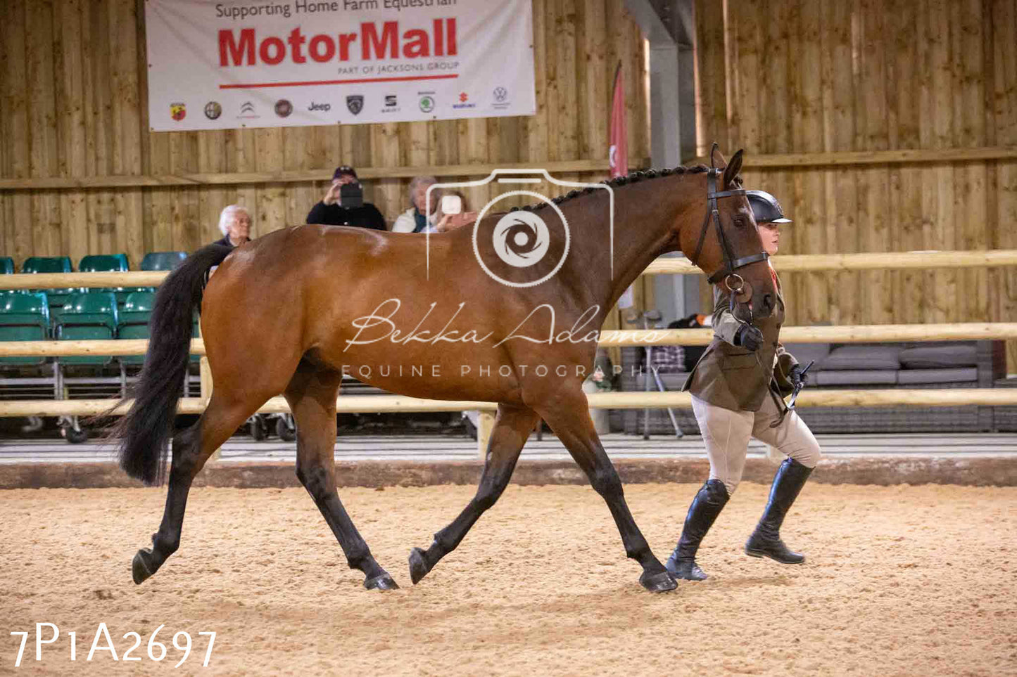 Home Farm Funshine Show 2024 - Inhand Showing 14th September