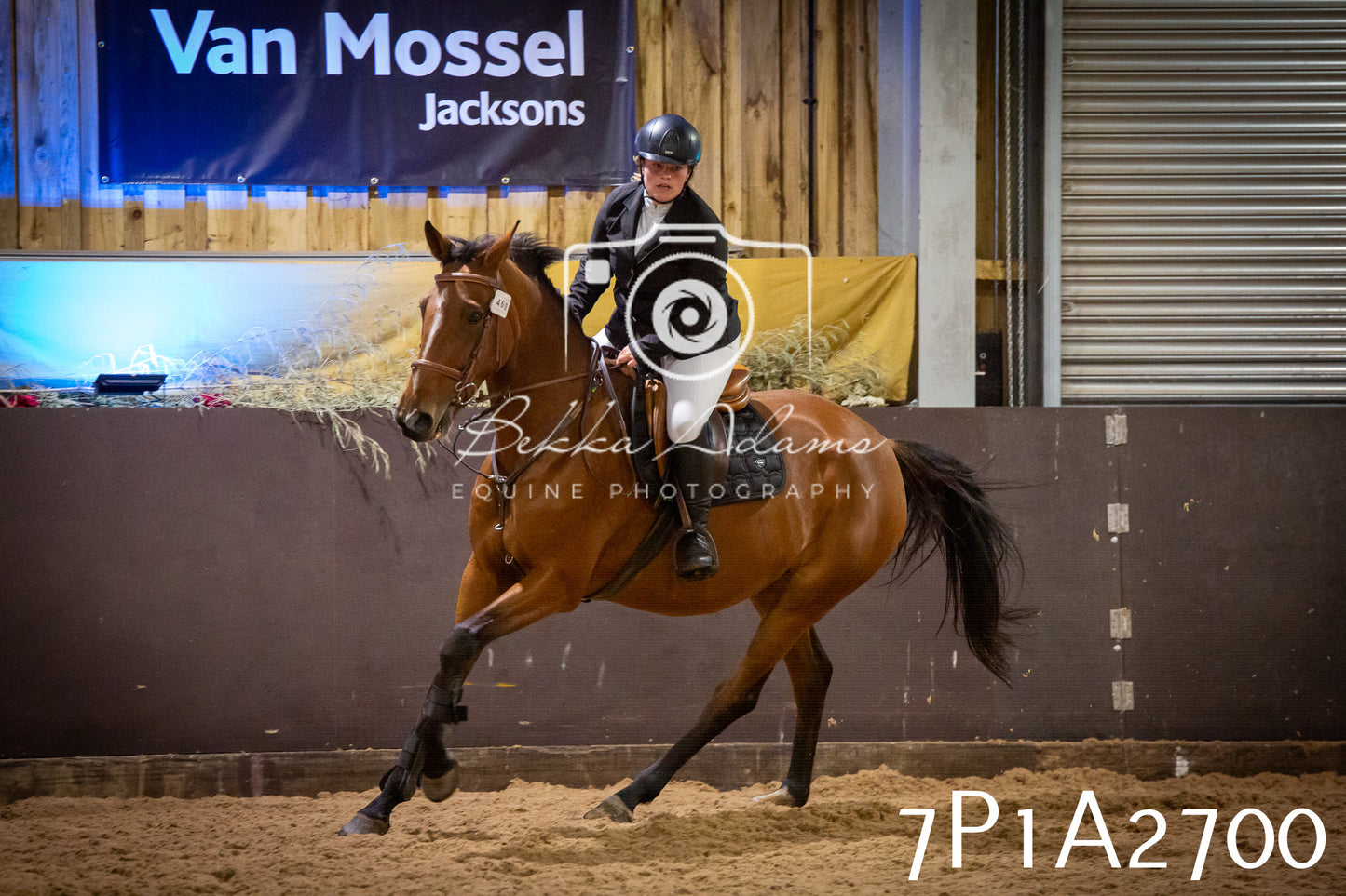 JHOYS 2025 - Show Jumping - 20th September pt2