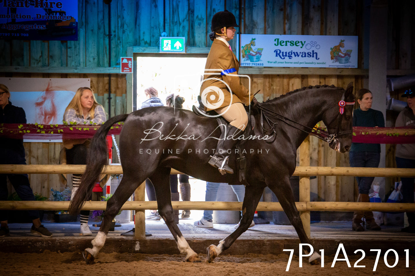 JHOYS 2025 - Ridden Showing - 28th September - pt3