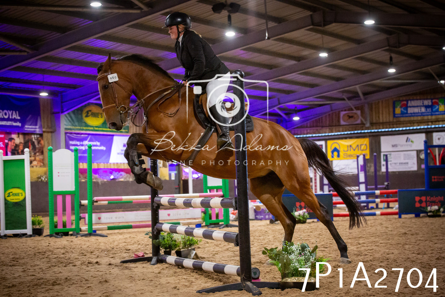 JHOYS 2025 - Show Jumping - 20th September pt2