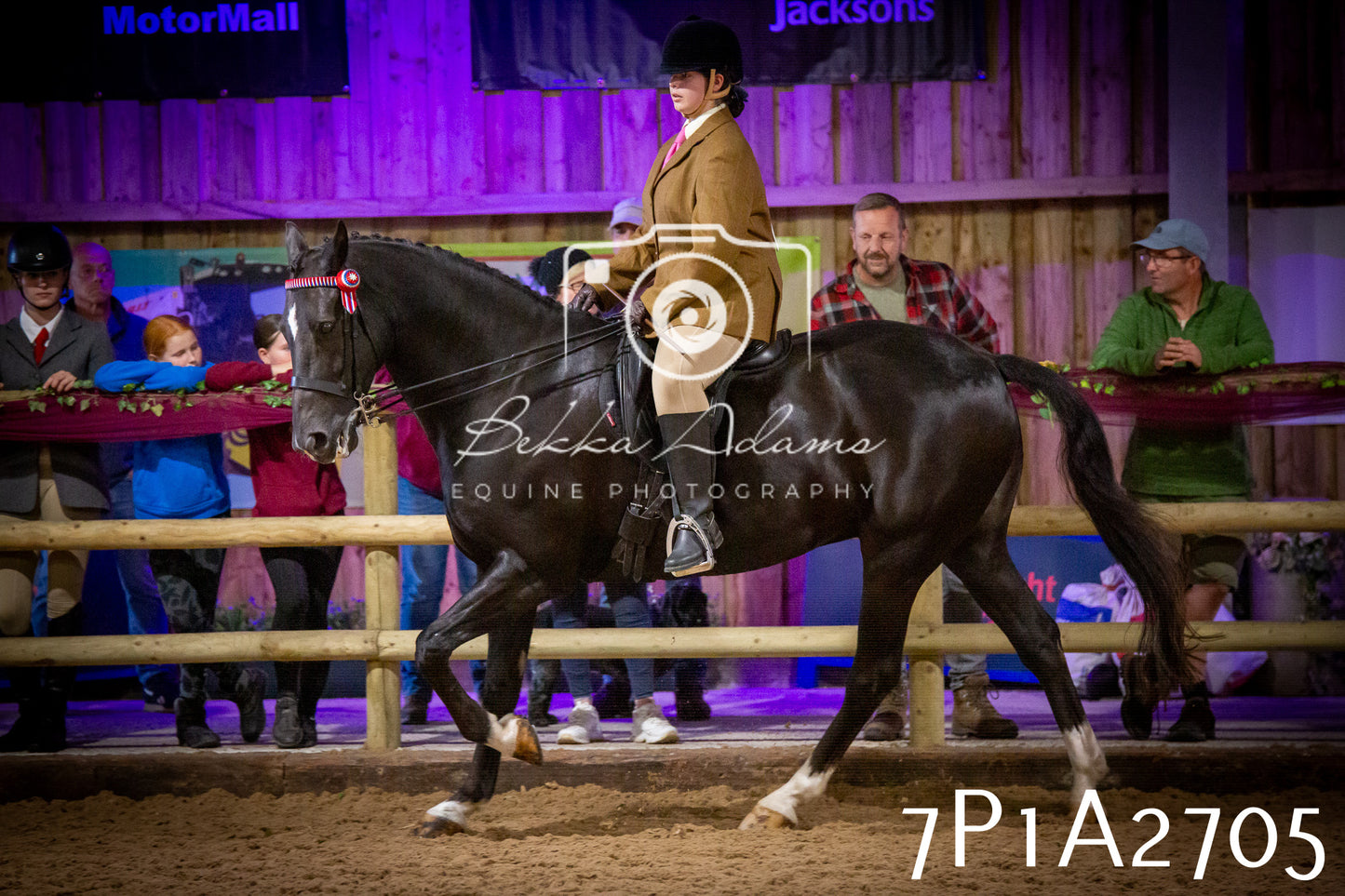 JHOYS 2025 - Ridden Showing - 28th September - pt3