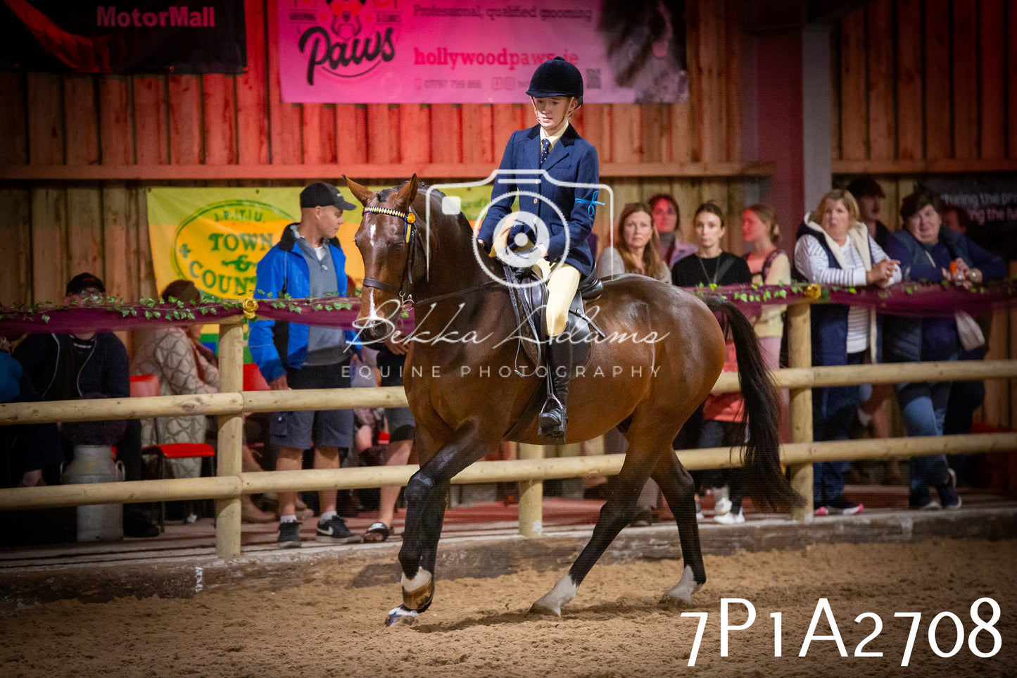 JHOYS 2025 - Ridden Showing - 28th September - pt3