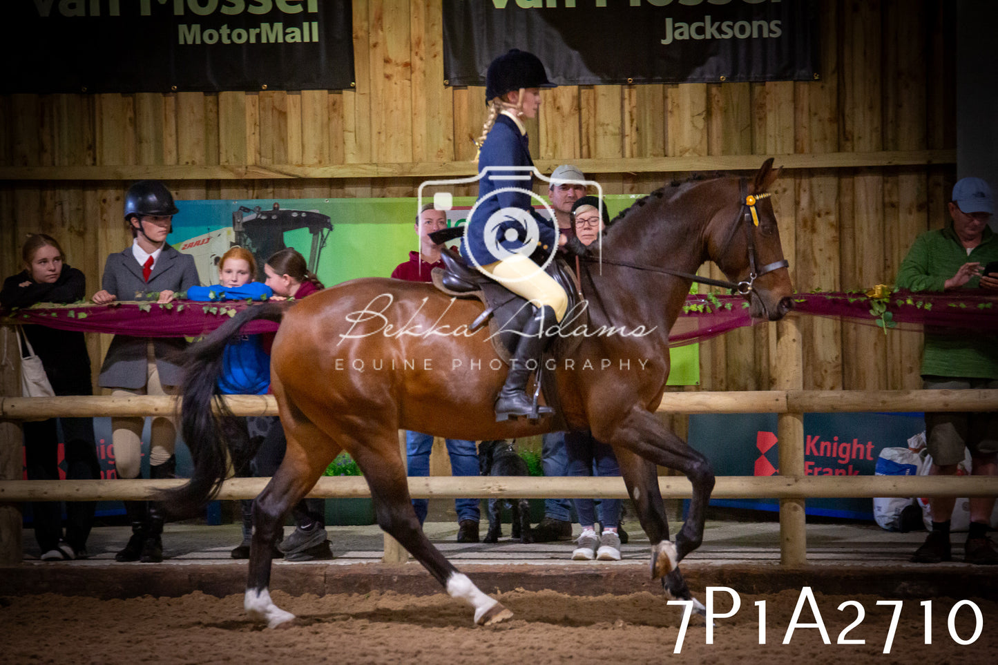 JHOYS 2025 - Ridden Showing - 28th September - pt3