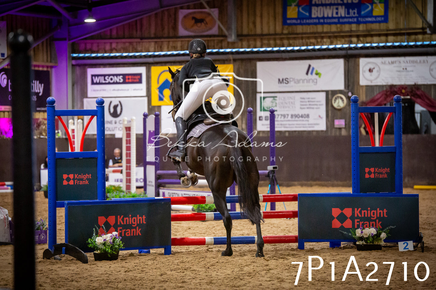 JHOYS 2025 - Show Jumping - 20th September pt2