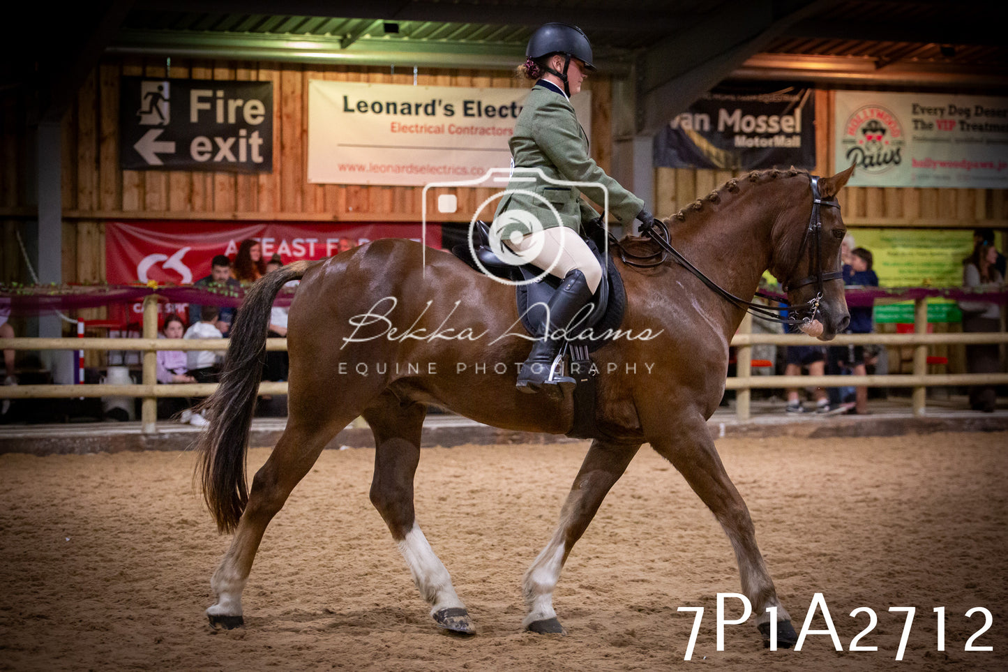 JHOYS 2025 - Ridden Showing - 28th September - pt3