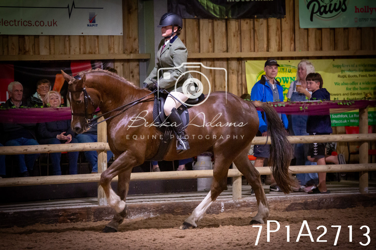 JHOYS 2025 - Ridden Showing - 28th September - pt3