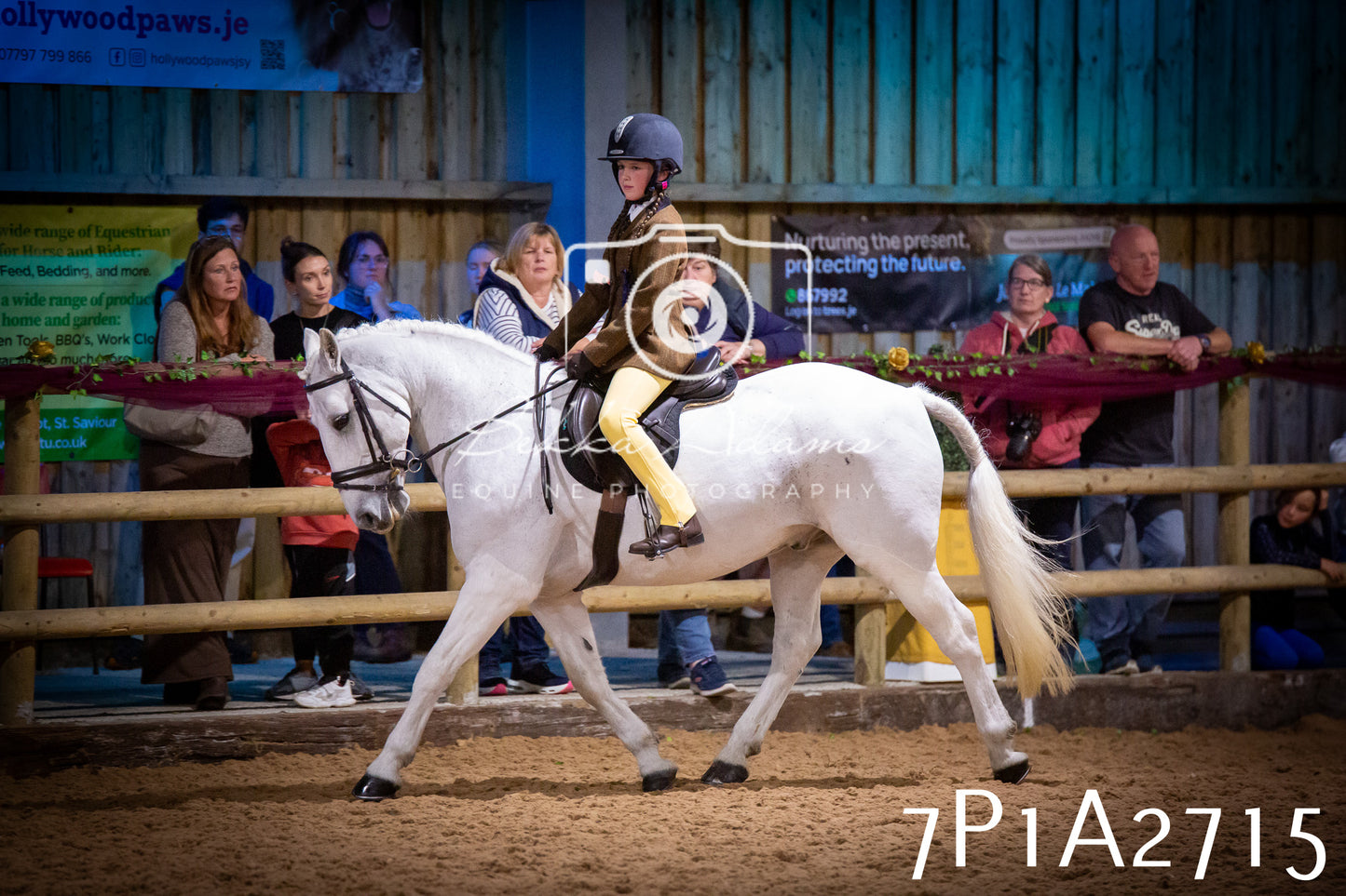 JHOYS 2025 - Ridden Showing - 28th September - pt3