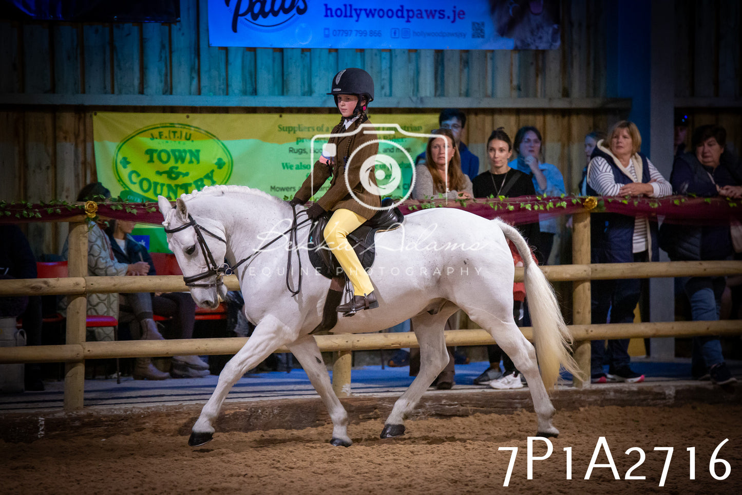 JHOYS 2025 - Ridden Showing - 28th September - pt3