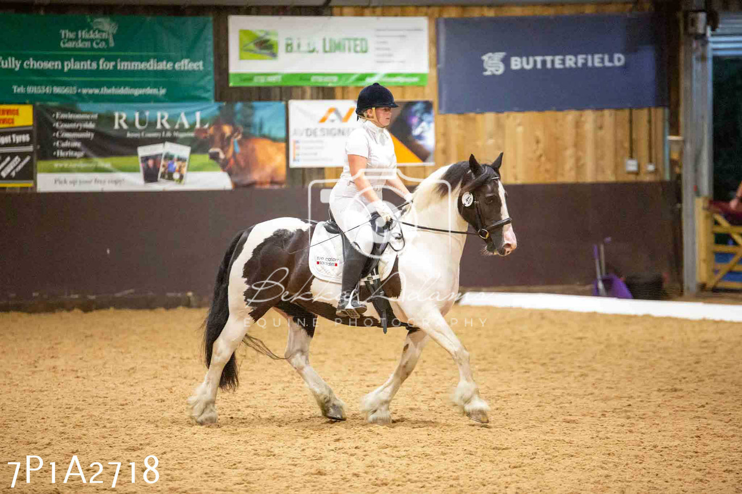 JHOYS 2023 - 6th September - Dressage