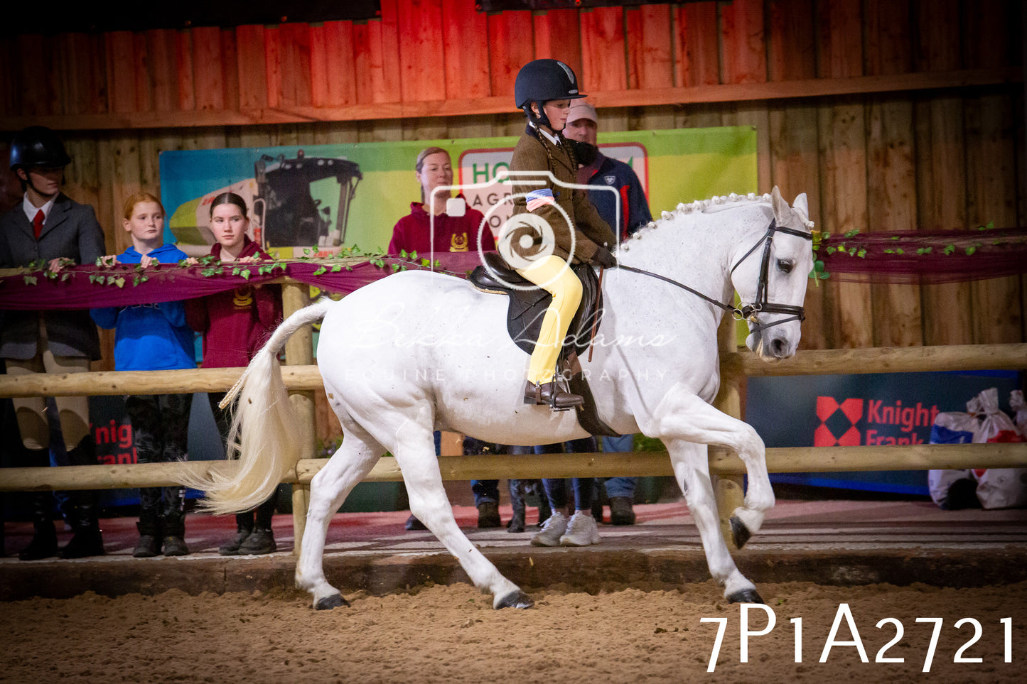 JHOYS 2025 - Ridden Showing - 28th September - pt3