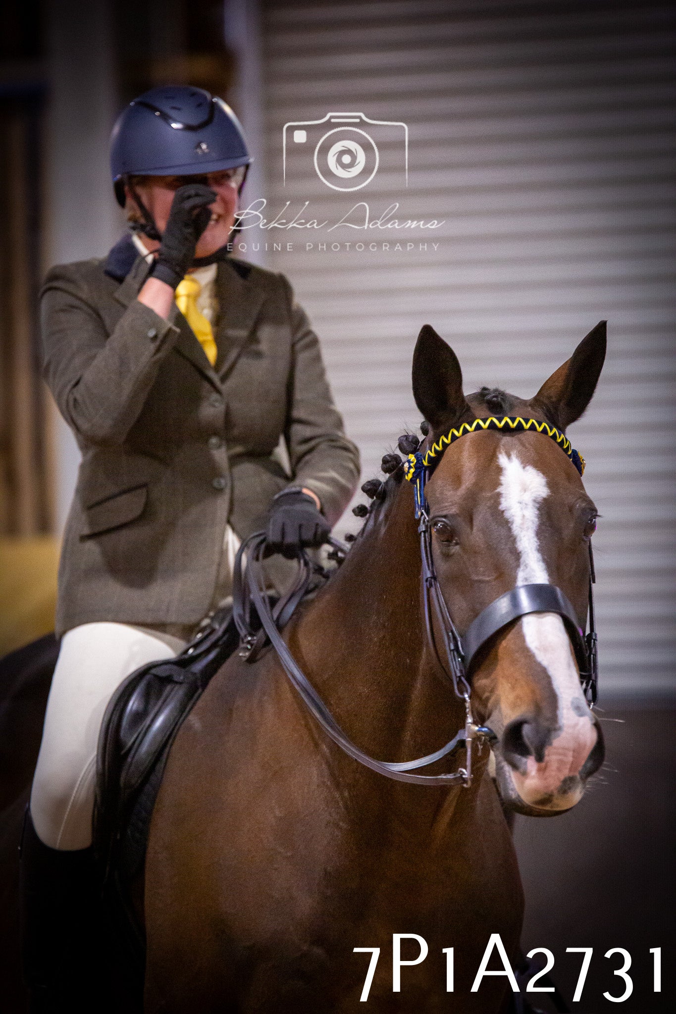 JHOYS 2025 - Ridden Showing - 28th September - pt3