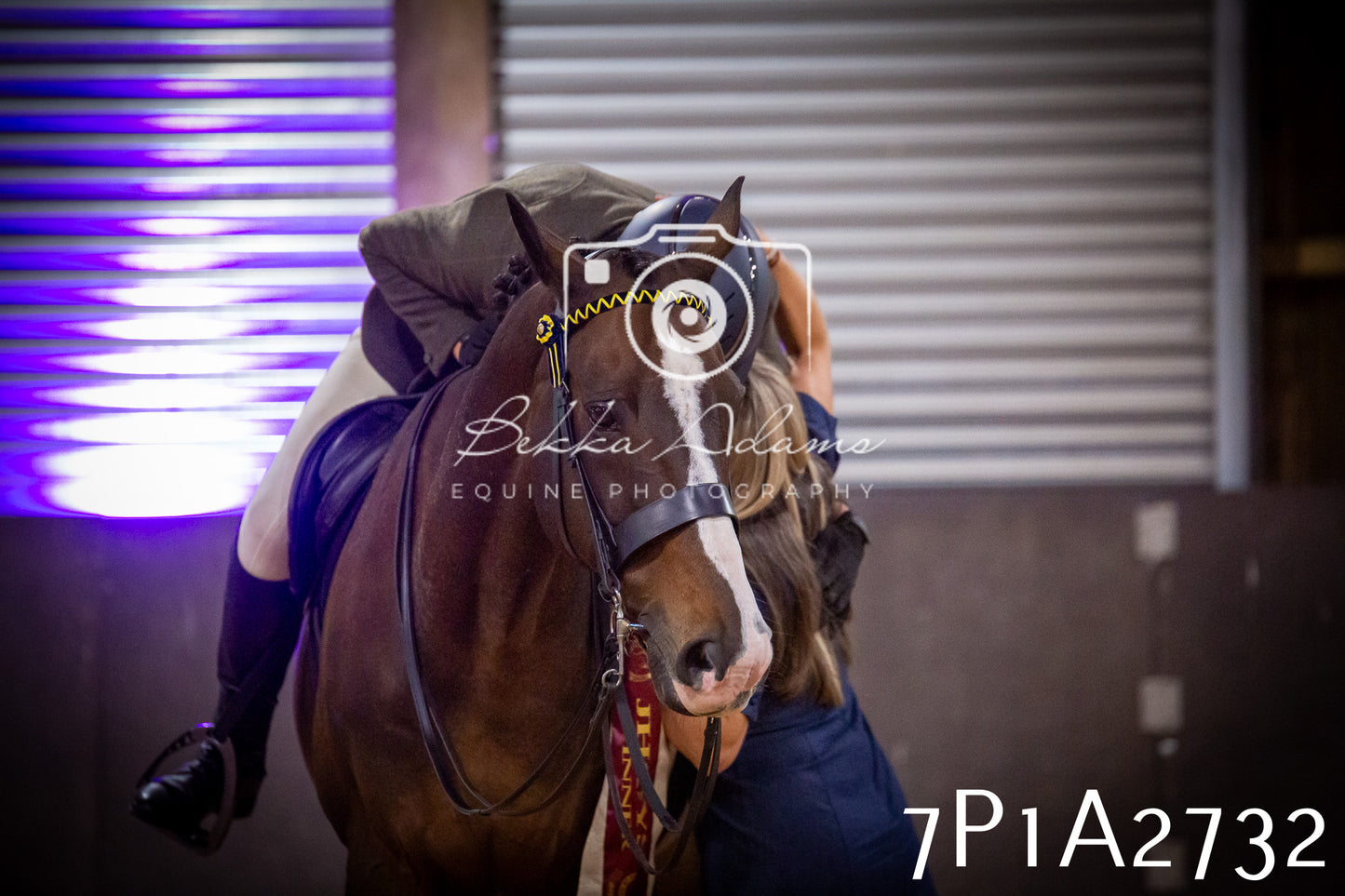 JHOYS 2025 - Ridden Showing - 28th September - pt3