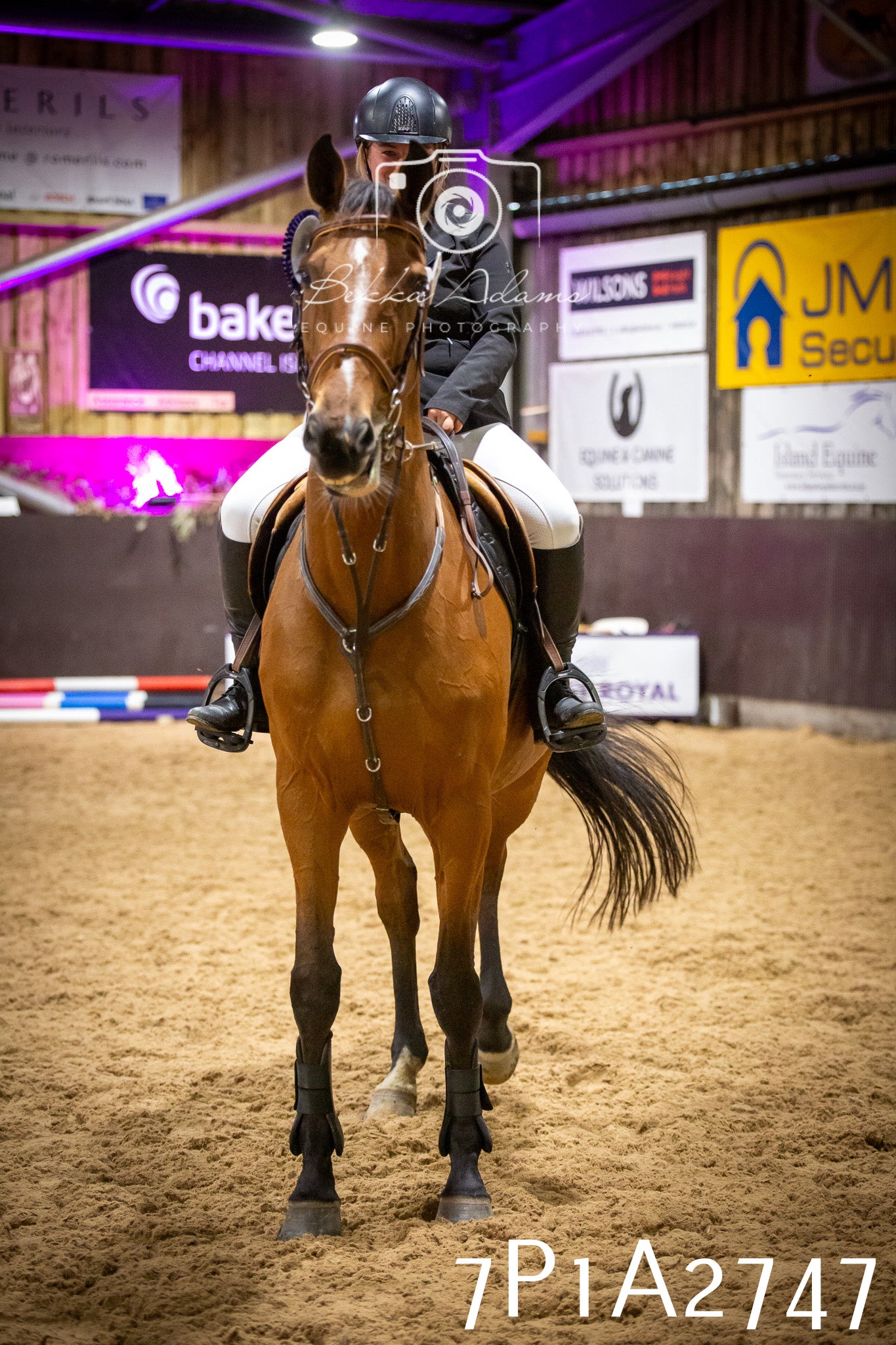 JHOYS 2025 - Show Jumping - 20th September pt2