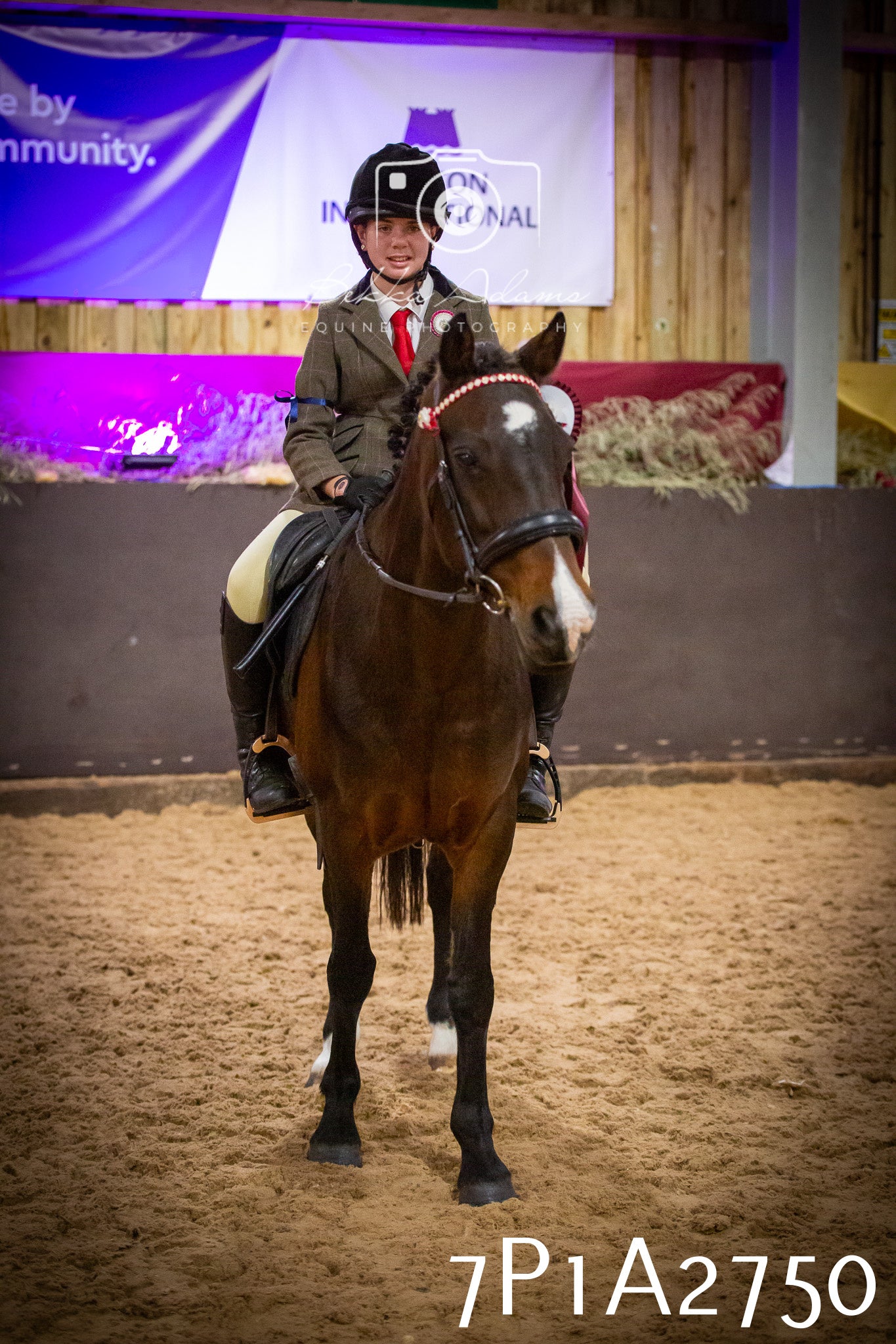 JHOYS 2025 - Ridden Showing - 28th September - pt3