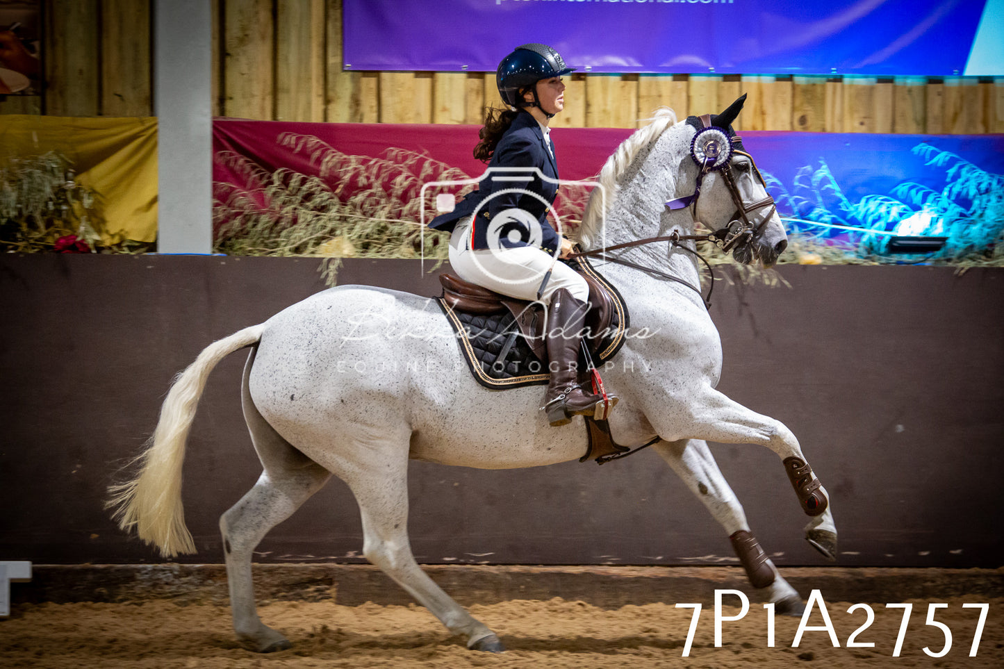 JHOYS 2025 - Show Jumping - 20th September pt2