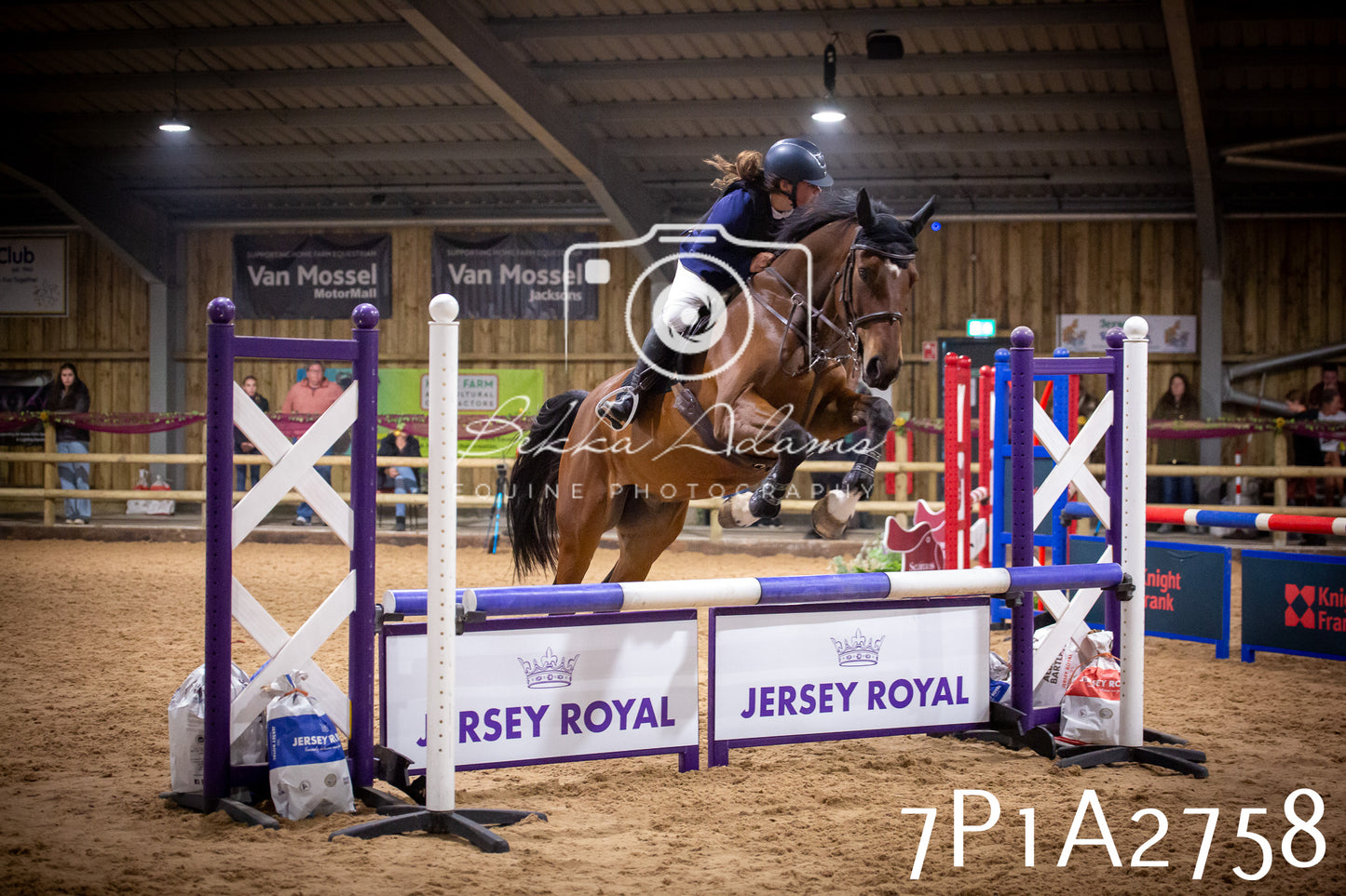 JHOYS 2025 - Show Jumping - 20th September pt2