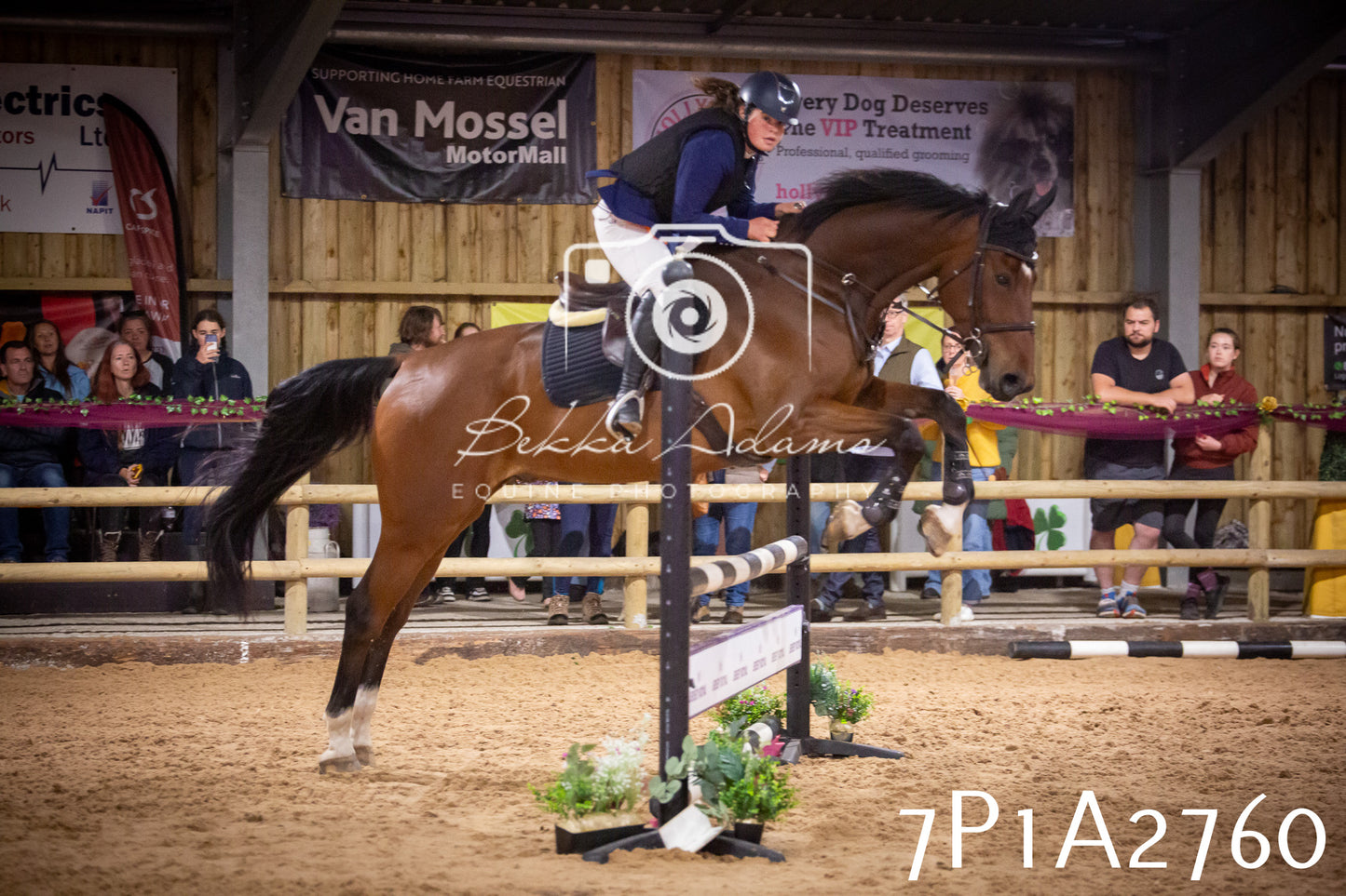 JHOYS 2025 - Show Jumping - 20th September pt2