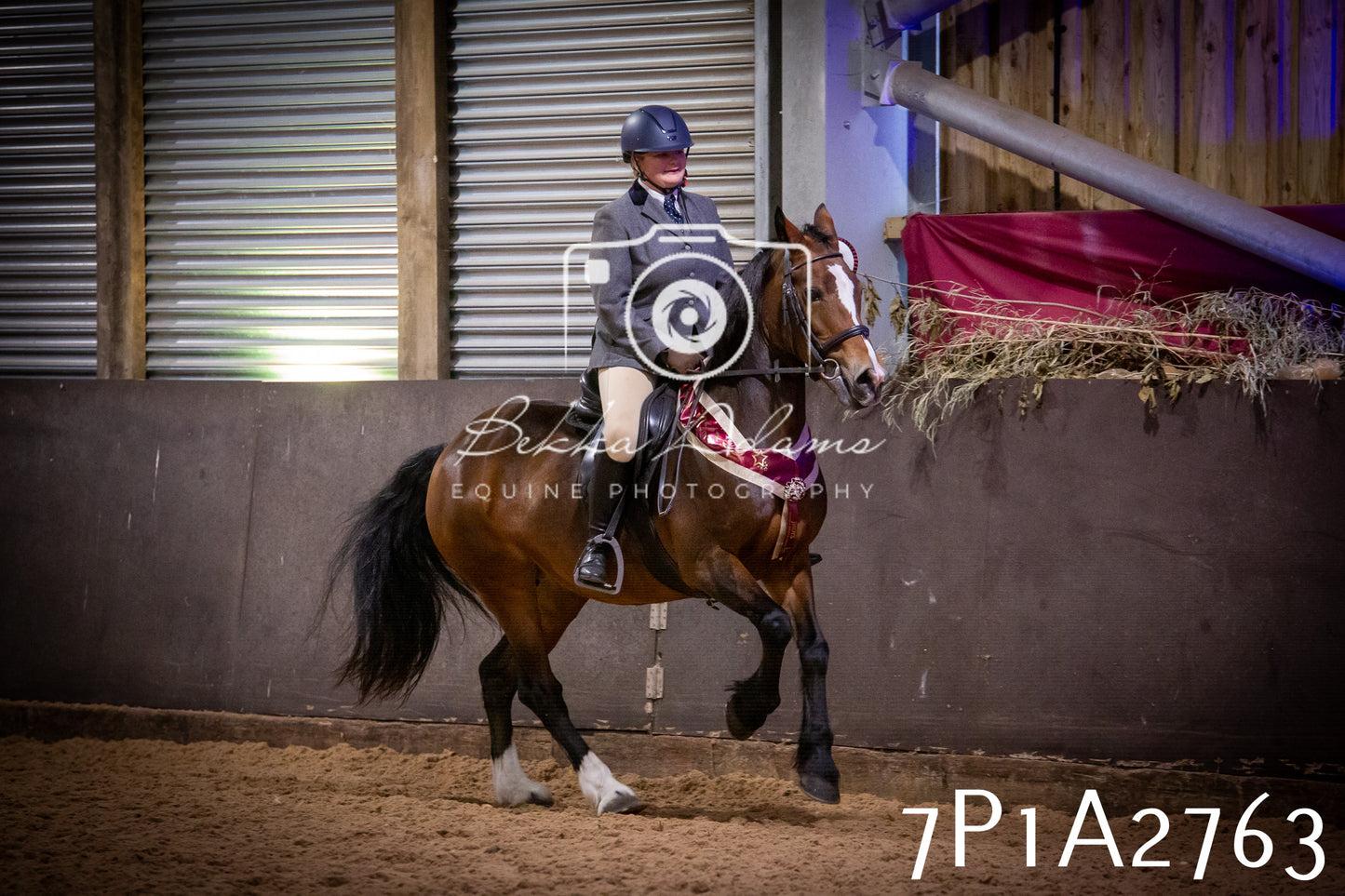 JHOYS 2025 - Ridden Showing - 28th September - pt3