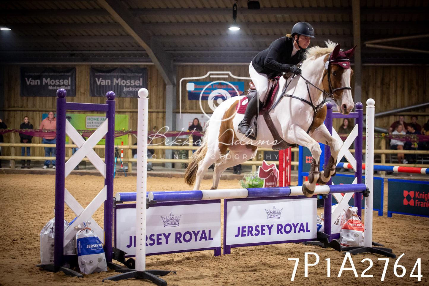 JHOYS 2025 - Show Jumping - 20th September pt2