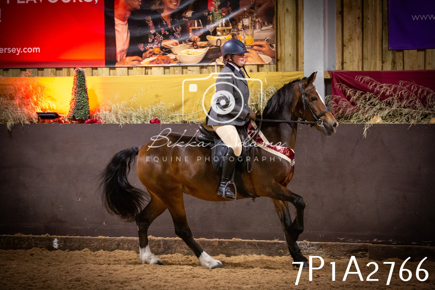 JHOYS 2025 - Ridden Showing - 28th September - pt3