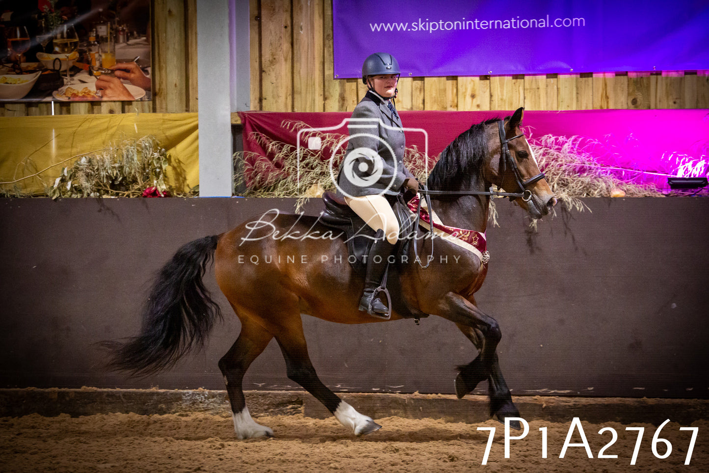 JHOYS 2025 - Ridden Showing - 28th September - pt3