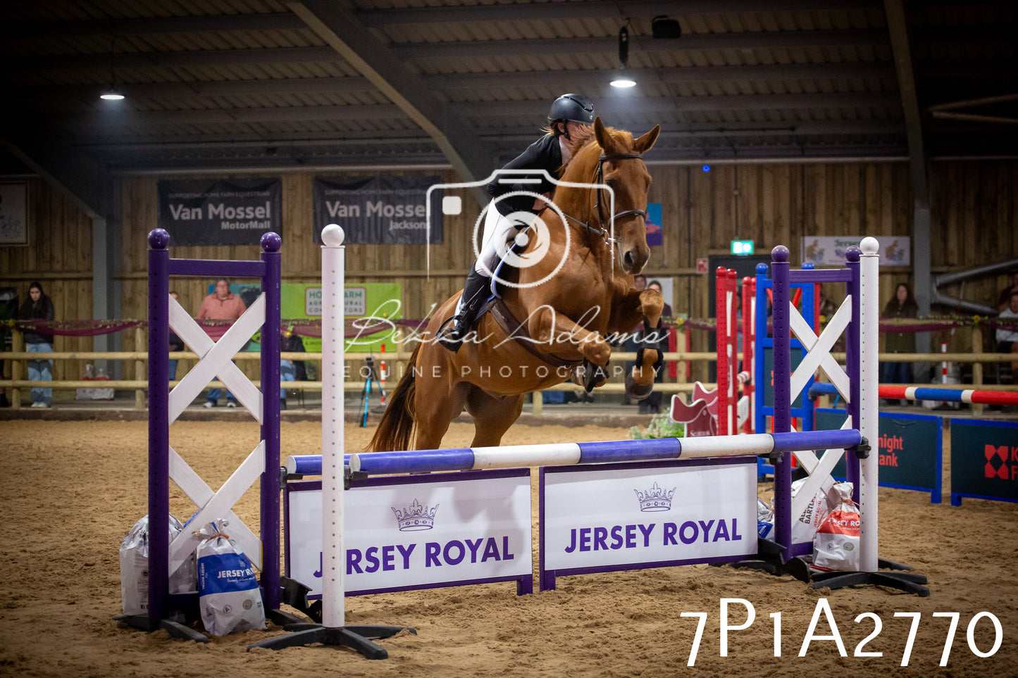 JHOYS 2025 - Show Jumping - 20th September pt2