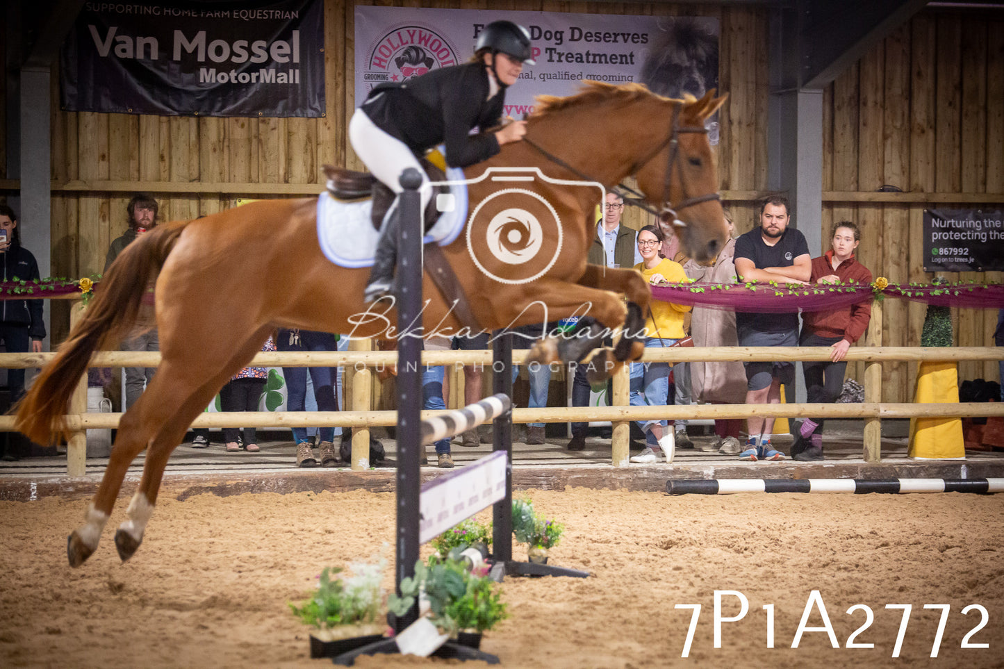 JHOYS 2025 - Show Jumping - 20th September pt2