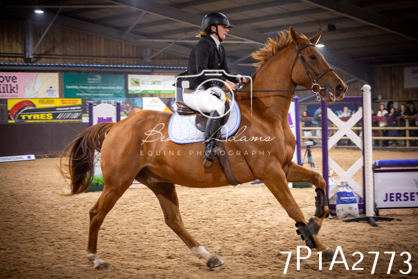 JHOYS 2025 - Show Jumping - 20th September pt2