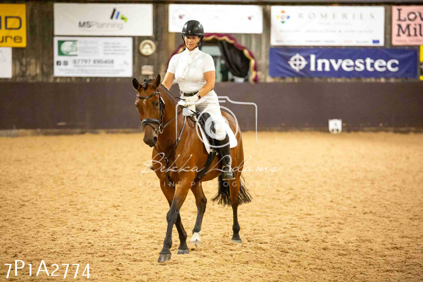 JHOYS 2023 - 6th September - Dressage