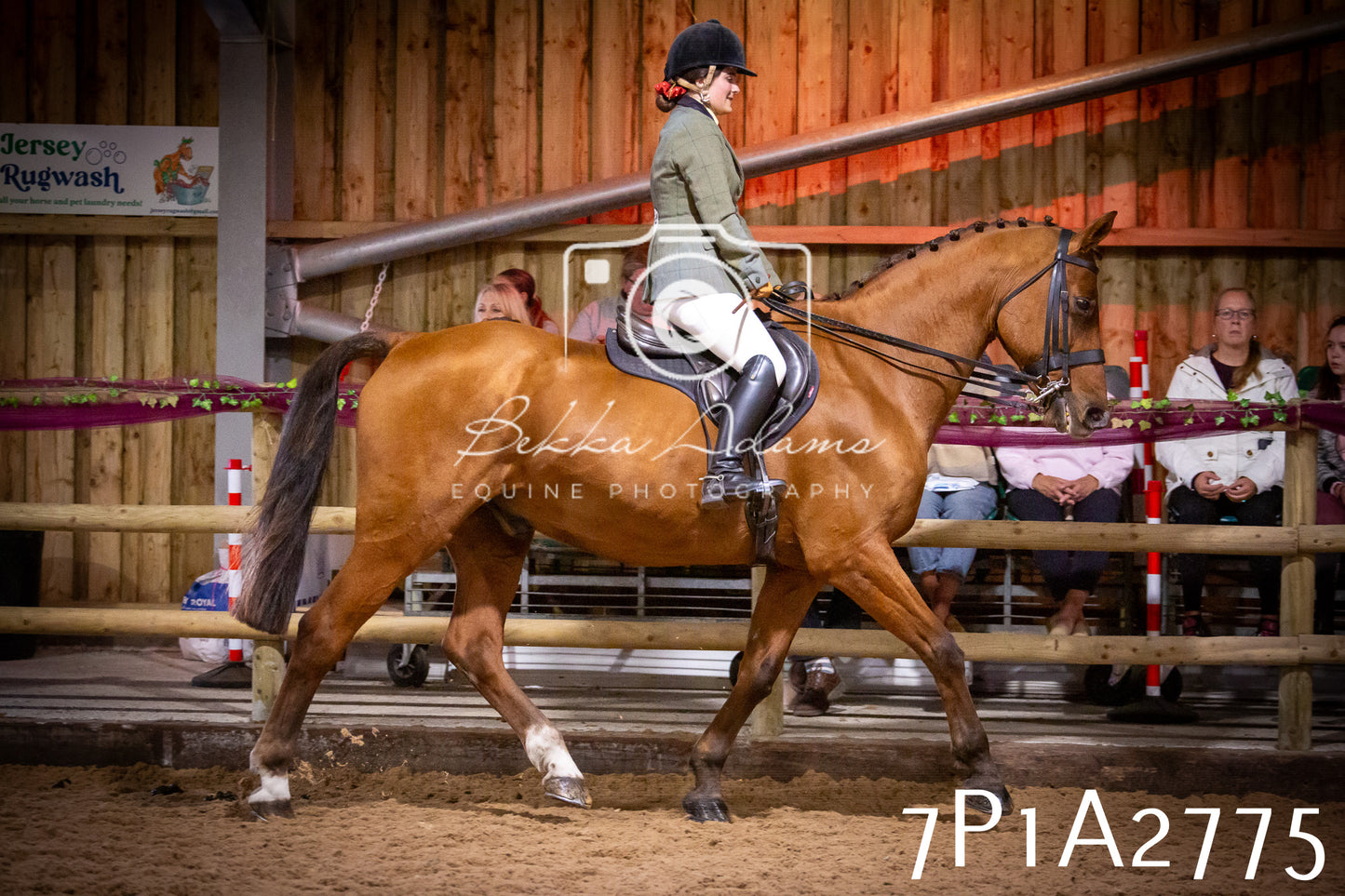 JHOYS 2025 - Ridden Showing - 28th September - pt3