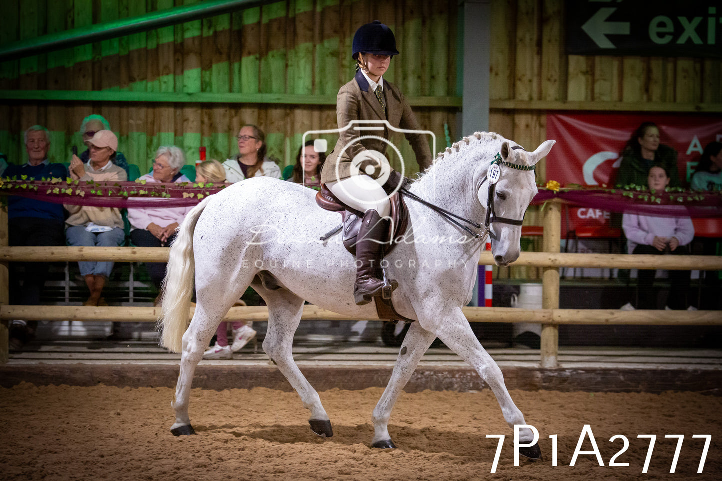 JHOYS 2025 - Ridden Showing - 28th September - pt3