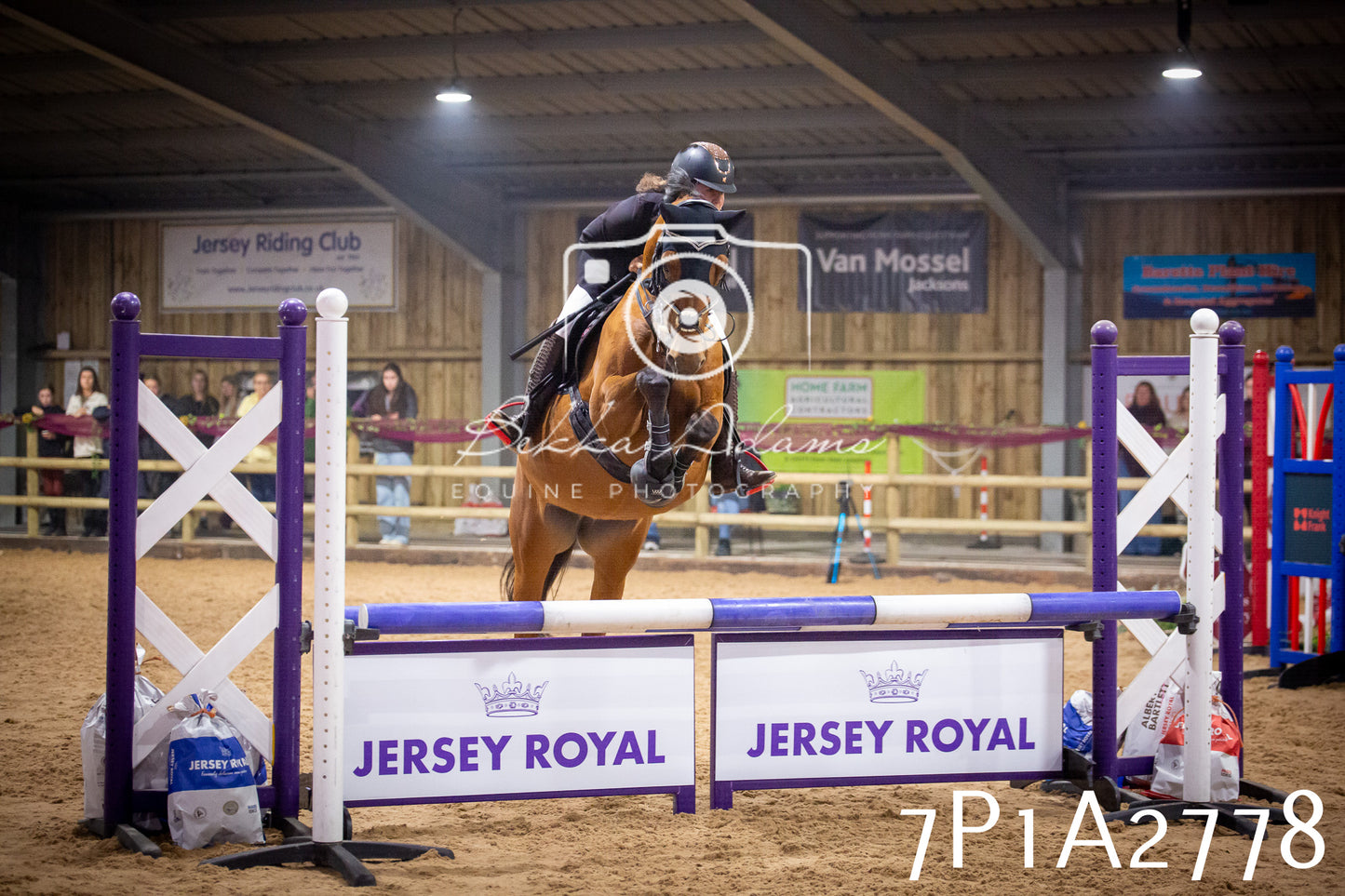 JHOYS 2025 - Show Jumping - 20th September pt2