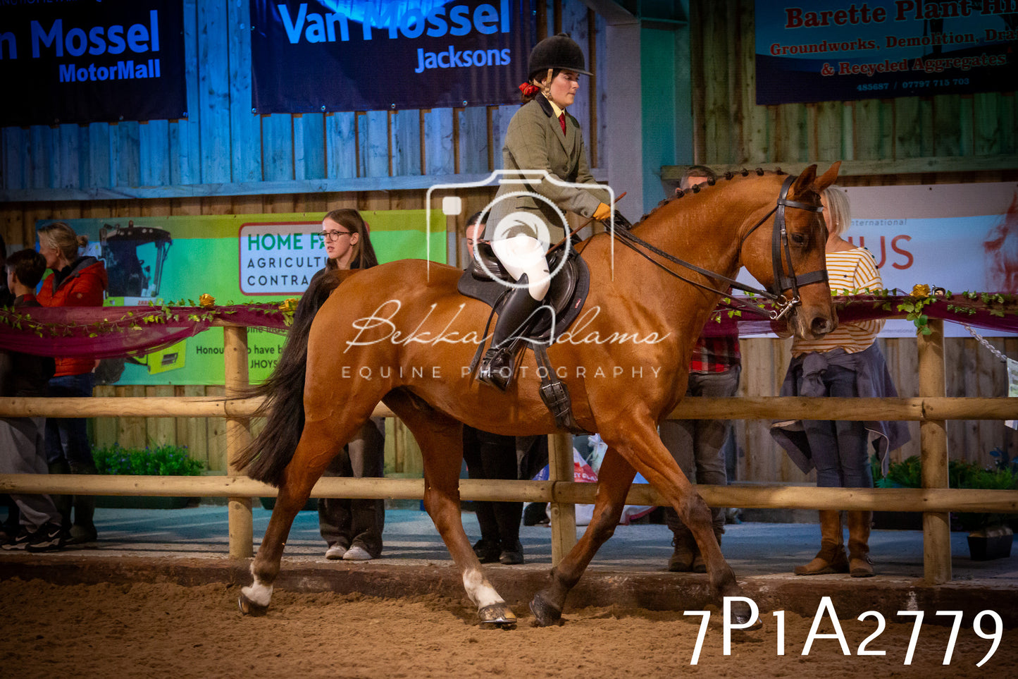 JHOYS 2025 - Ridden Showing - 28th September - pt3