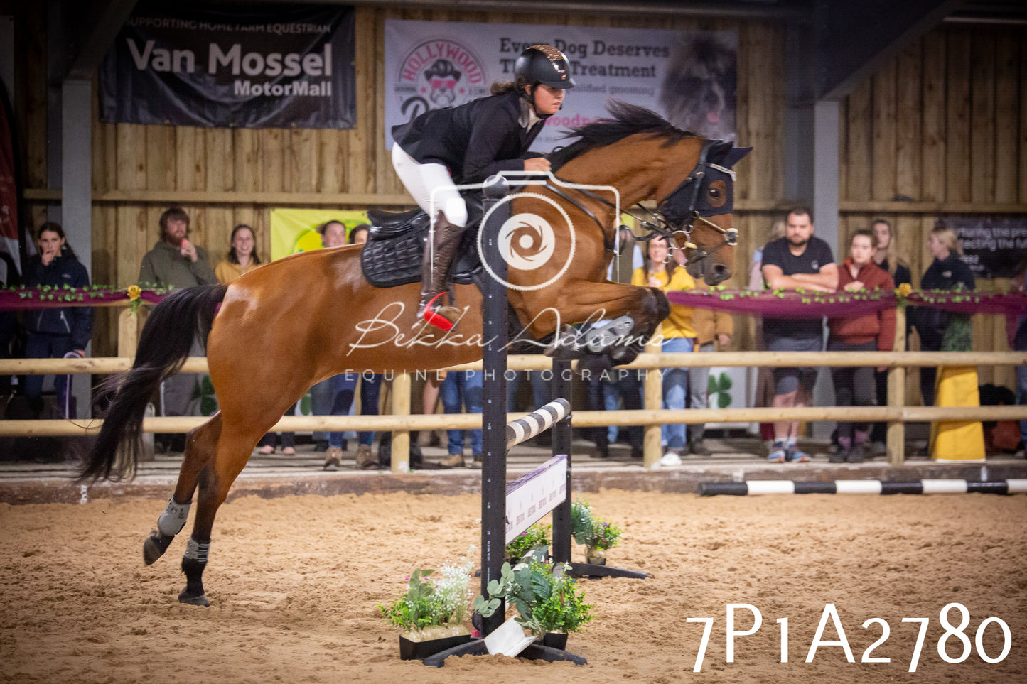 JHOYS 2025 - Show Jumping - 20th September pt2