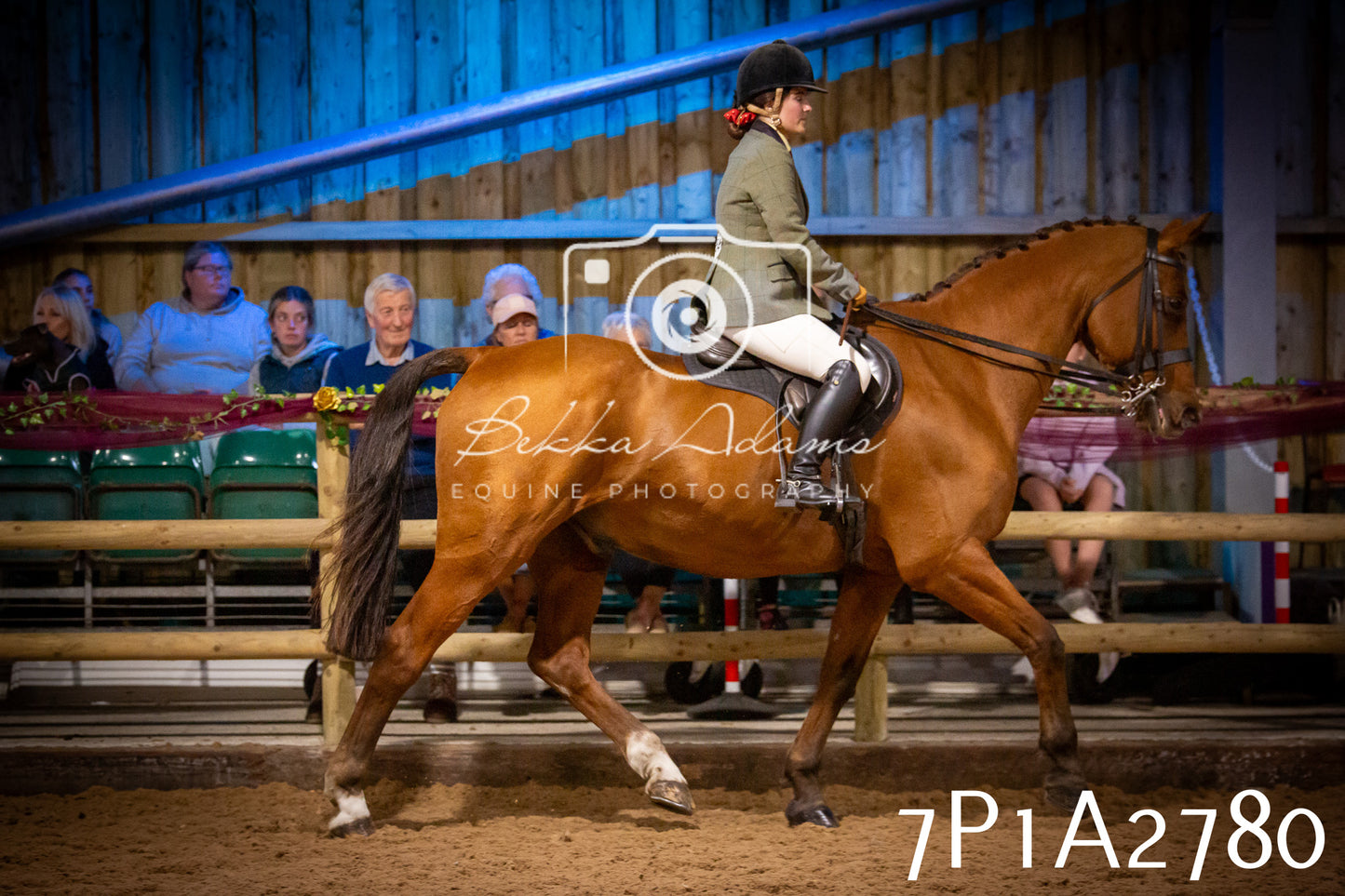 JHOYS 2025 - Ridden Showing - 28th September - pt3