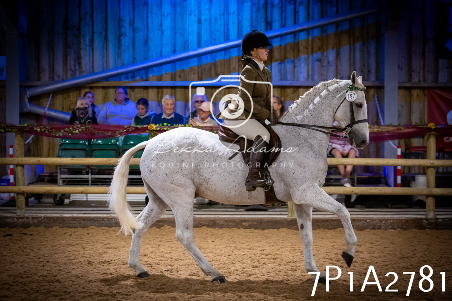 JHOYS 2025 - Ridden Showing - 28th September - pt3