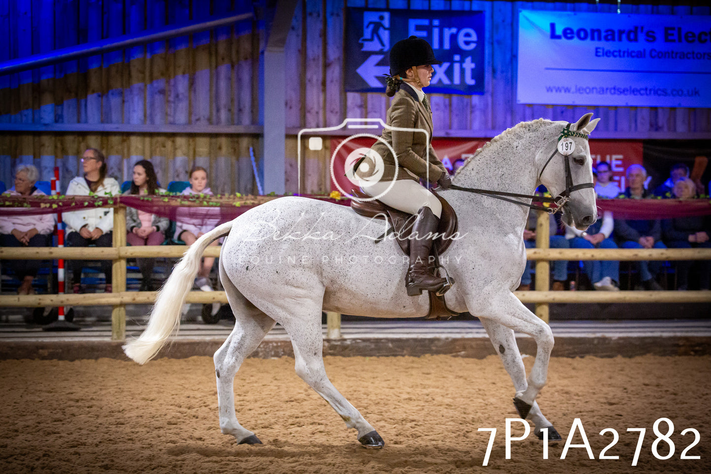 JHOYS 2025 - Ridden Showing - 28th September - pt3