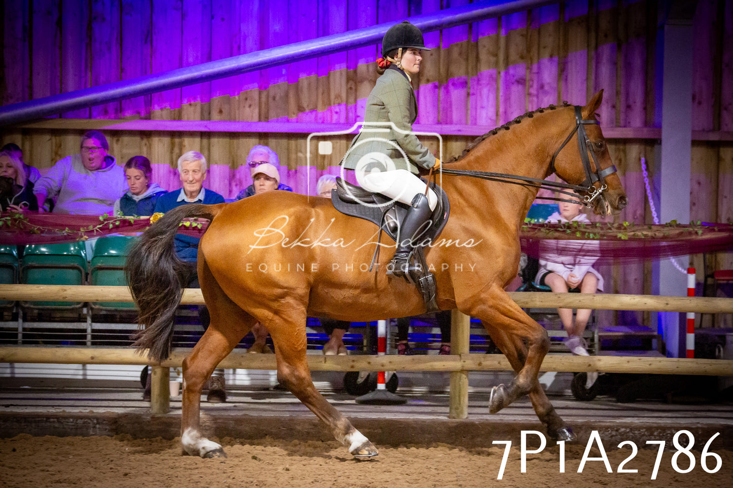 JHOYS 2025 - Ridden Showing - 28th September - pt3